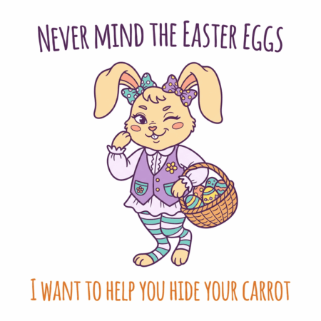 Hide The Carrot
